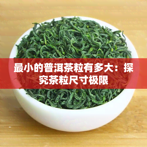 最小的普洱茶粒有多大：探究茶粒尺寸极限