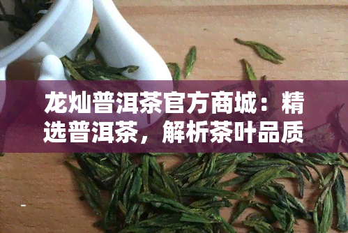 龙灿普洱茶官方商城：精选普洱茶，解析茶叶品质与价格