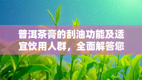 普洱茶膏的刮油功能及适宜饮用人群，全面解答您的疑问