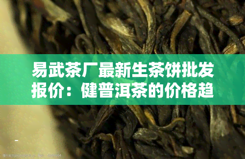 易武茶厂最新生茶饼批发报价：健普洱茶的价格趋势分析