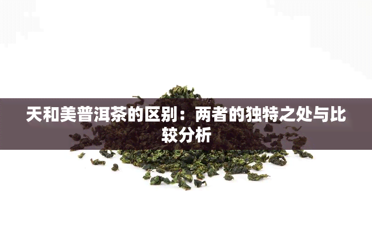 天和美普洱茶的区别：两者的独特之处与比较分析