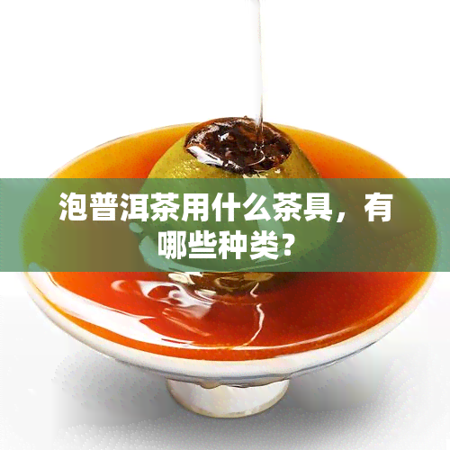 泡普洱茶用什么茶具，有哪些种类？