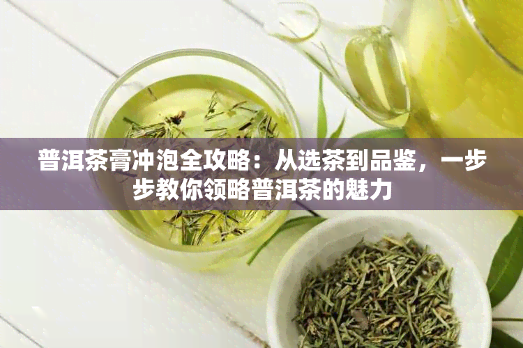 普洱茶膏冲泡全攻略：从选茶到品鉴，一步步教你领略普洱茶的魅力