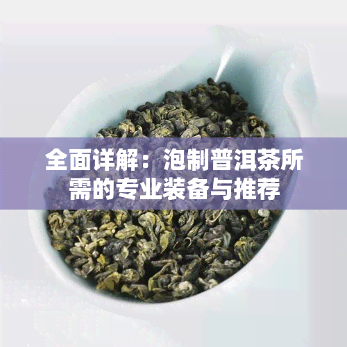 全面详解：泡制普洱茶所需的专业装备与推荐