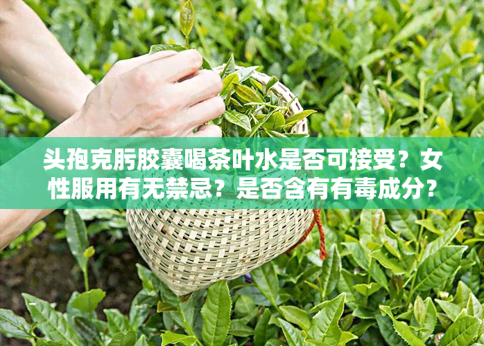 头孢克肟胶囊喝茶叶水是否可接受？女性服用有无禁忌？是否含有有成分？