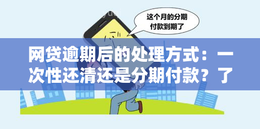 网贷逾期后的处理方式：一次性还清还是分期付款？了解全面解决方案