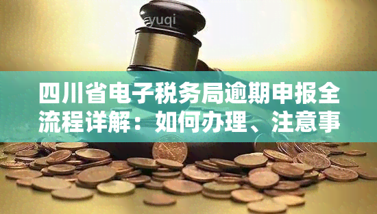 四川省税务局逾期申报全流程详解：如何办理、注意事项及可能的影响