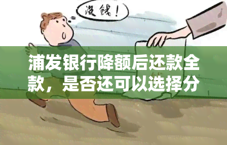 浦发银行降额后还款全款，是否还可以选择分期还款？