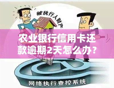 农业银行信用卡还款逾期2天怎么办？