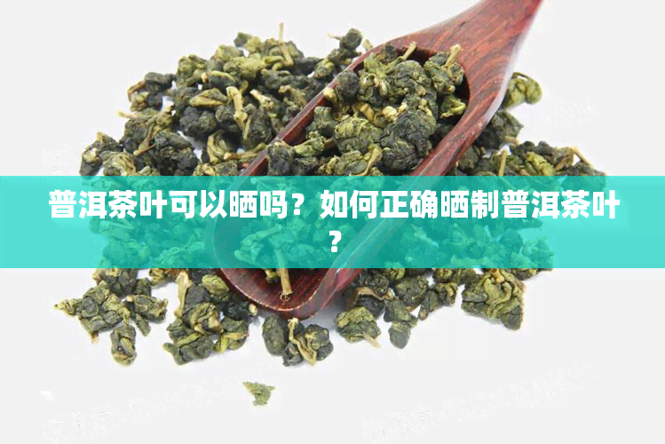 普洱茶叶可以晒吗？如何正确晒制普洱茶叶？