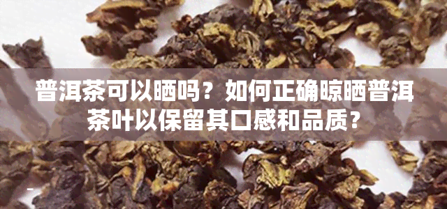 普洱茶可以晒吗？如何正确晾晒普洱茶叶以保留其口感和品质？