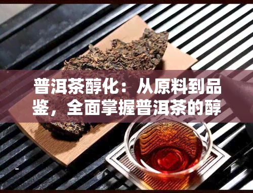 普洱茶醇化：从原料到品鉴，全面掌握普洱茶的醇化工艺与品饮技巧