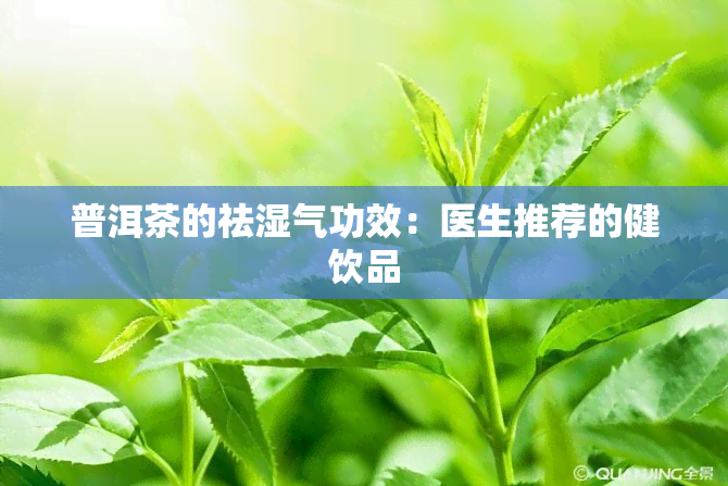 普洱茶的祛湿气功效：医生推荐的健饮品