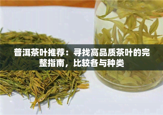 普洱茶叶推荐：寻找高品质茶叶的完整指南，比较各与种类