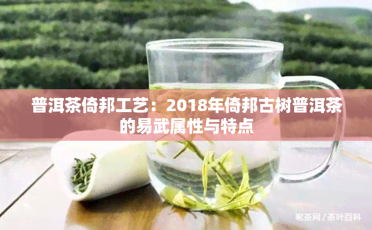 普洱茶倚邦工艺：2018年倚邦古树普洱茶的易武属性与特点