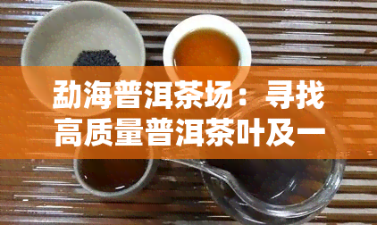 勐海普洱茶场：寻找高质量普洱茶叶及一站式批发解决方案的综合指南