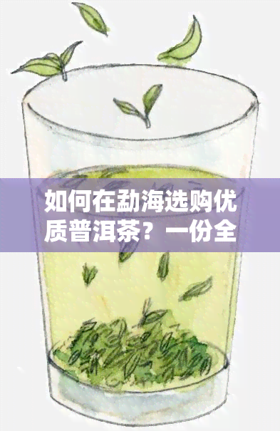 如何在勐海选购优质普洱茶？一份全面指南助你成为普洱茶专家