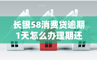 长银58消费贷逾期1天怎么办理期还款