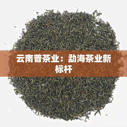 云南普茶业：勐海茶业新标杆