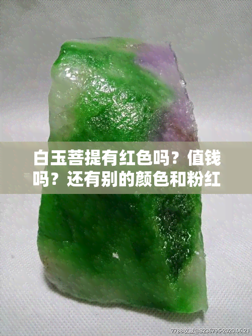 白玉菩提有红色吗？值钱吗？还有别的颜色和粉红色吗？