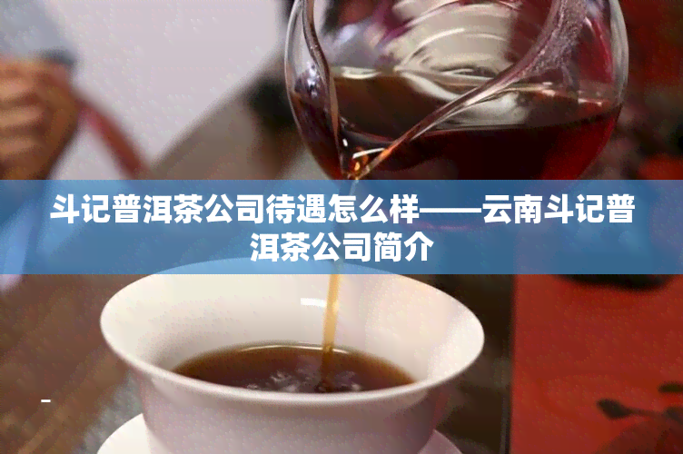 斗记普洱茶公司待遇怎么样——云南斗记普洱茶公司简介