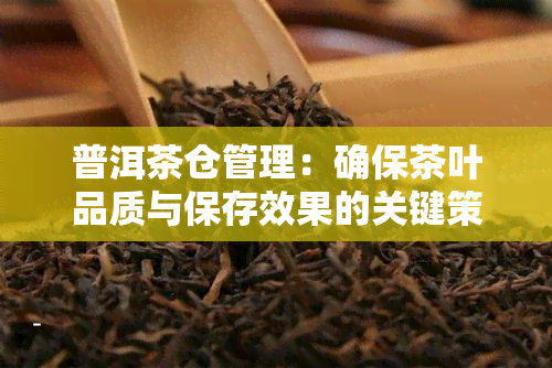 普洱茶仓管理：确保茶叶品质与保存效果的关键策略