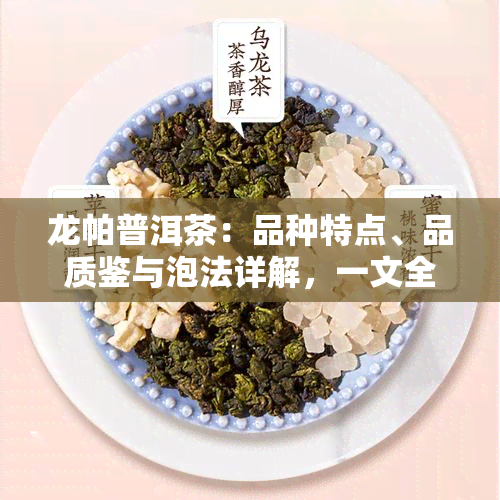 龙帕普洱茶：品种特点、品质鉴与泡法详解，一文全面了解！