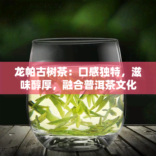 龙帕古树茶：口感独特，滋味醇厚，融合普洱茶文化与帕沙韵味