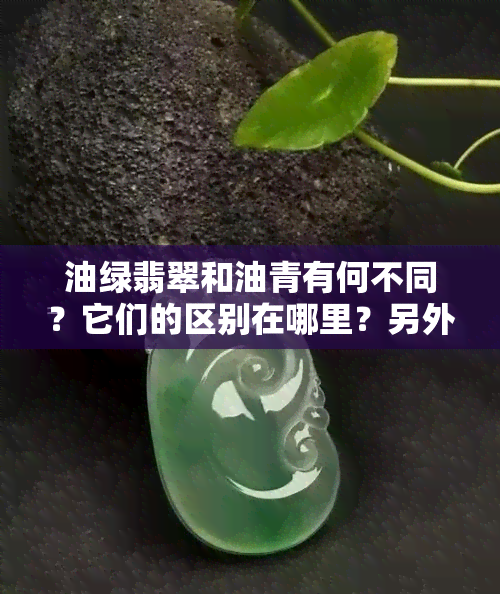 油绿翡翠和油青有何不同？它们的区别在哪里？另外，油绿翡翠的价值如何？