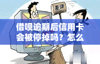 借呗逾期后信用卡会被停掉吗？怎么处理？