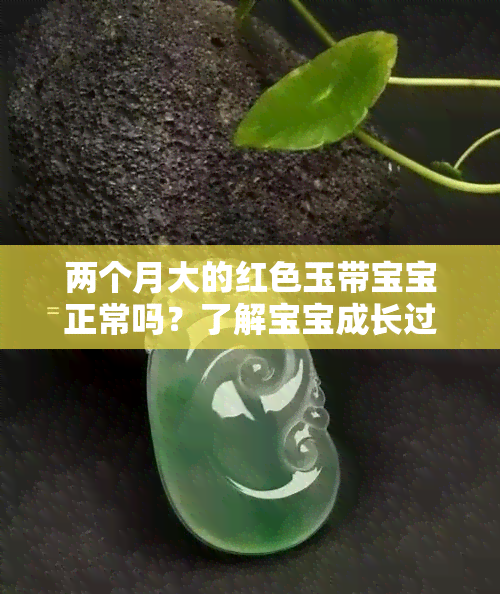 两个月大的红色玉带宝宝正常吗？了解宝宝成长过程中红斑现象的解答