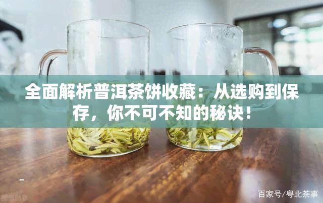 全面解析普洱茶饼收藏：从选购到保存，你不可不知的秘诀！