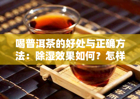 喝普洱茶的好处与正确方法：除湿效果如何？怎样才能喝出效果？