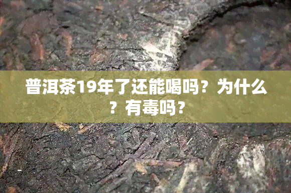 普洱茶19年了还能喝吗？为什么？有吗？