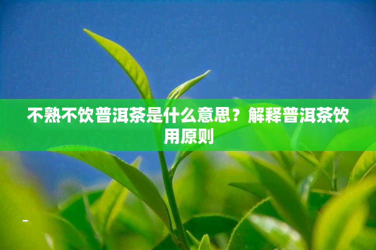 不熟不饮普洱茶是什么意思？解释普洱茶饮用原则