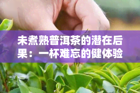 未煮熟普洱茶的潜在后果：一杯难忘的健体验