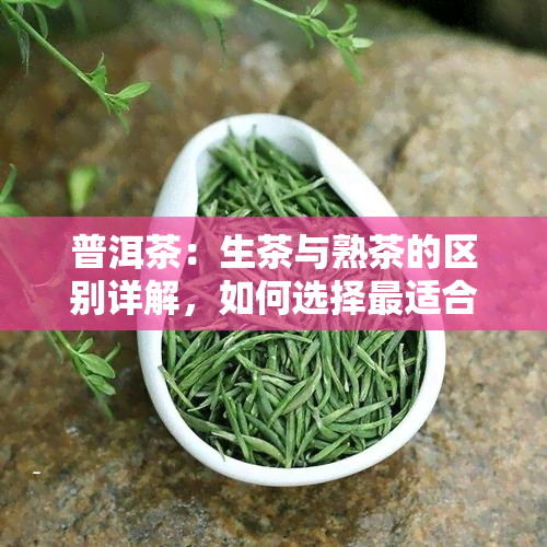 普洱茶：生茶与熟茶的区别详解，如何选择最适合你的普洱茶？