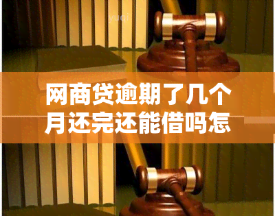 网商贷逾期了几个月还完还能借吗怎么还：解决办法与影响分析