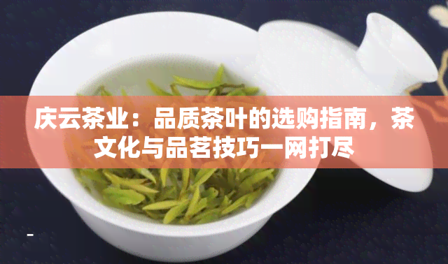 庆云茶业：品质茶叶的选购指南，茶文化与品茗技巧一网打尽