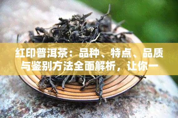 红印普洱茶：品种、特点、品质与鉴别方法全面解析，让你一文了解