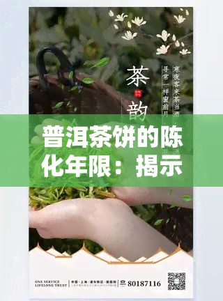 普洱茶饼的陈化年限：揭示其独特的品质与保存之道