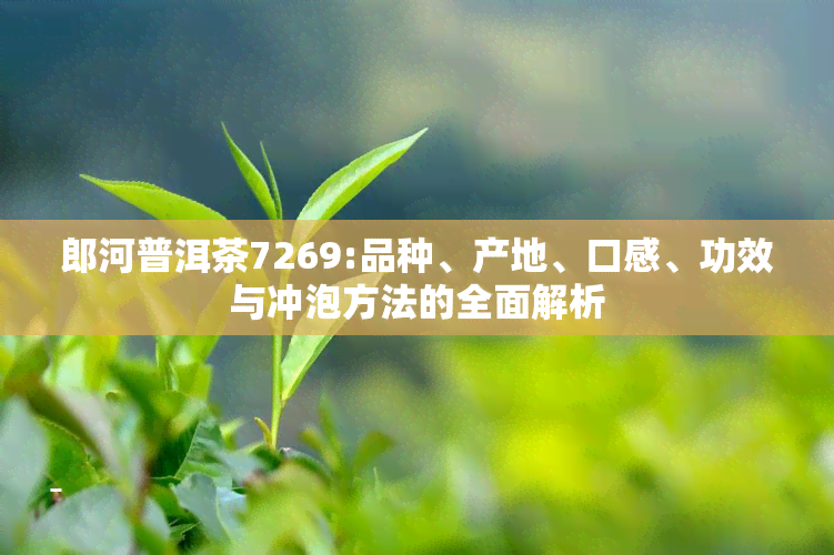 郎河普洱茶7269:品种、产地、口感、功效与冲泡方法的全面解析