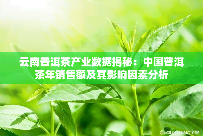 云南普洱茶产业数据揭秘：中国普洱茶年销售额及其影响因素分析