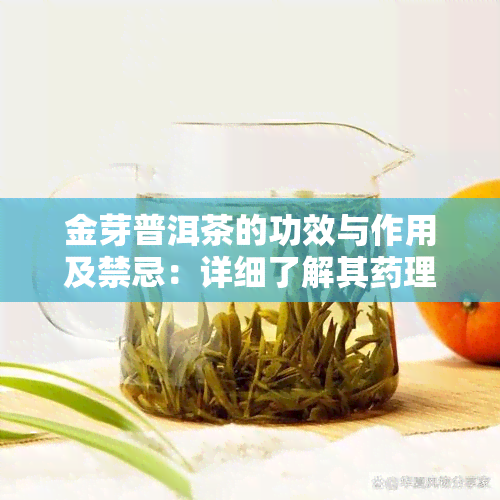 金芽普洱茶的功效与作用及禁忌：详细了解其理效果及潜在副作用