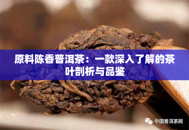 原料陈香普洱茶：一款深入了解的茶叶剖析与品鉴