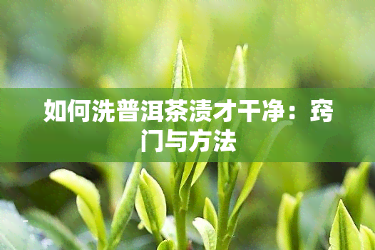 如何洗普洱茶渍才干净：窍门与方法