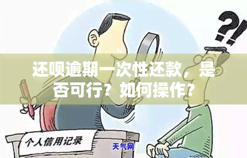 还呗逾期一次性还款，是否可行？如何操作？