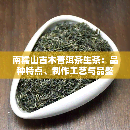 南糯山古木普洱茶生茶：品种特点、制作工艺与品鉴方法的全面指南