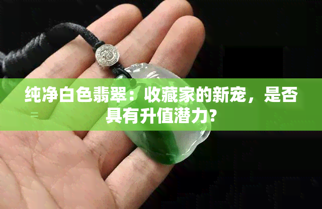 纯净白色翡翠：收藏家的新宠，是否具有升值潜力？