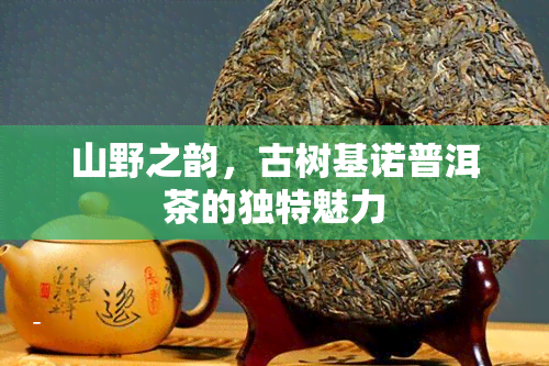 山野之韵，古树基诺普洱茶的独特魅力